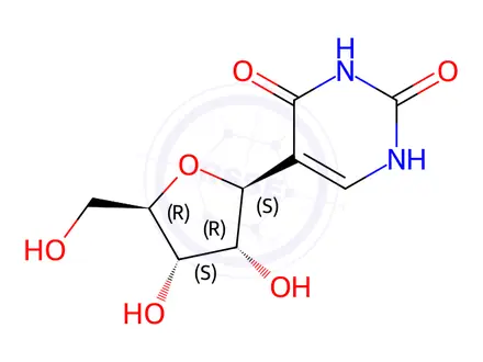 Chemical structure of beta-Pseudouridine