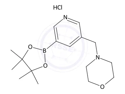Chemical structure of 4-((5-(4,4,5,5-Tetramethyl-1,3,2-dioxaborolan-2-yl)pyridin-3-yl)methyl)morpholine hydrochloride