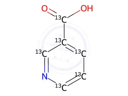 Chemical structure of Nicotinic Acid-13C6
