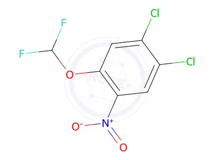 Chemical structure of 1,2-Dichloro-4-(difluoromethoxy)-5-nitro-benzene