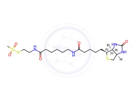 Chemical structure of N-Biotinylcaproylaminoethyl Methanethiosulfonate