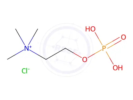 Chemical structure of Phosphorylcholine