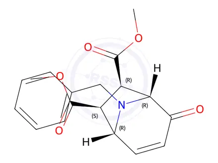 Chemical structure of SD 1008