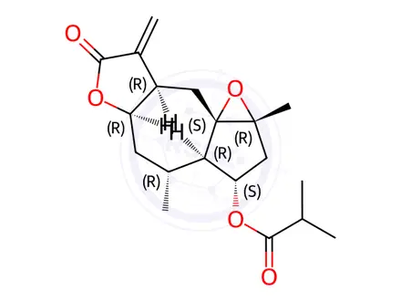 Chemical structure of Minimolide F