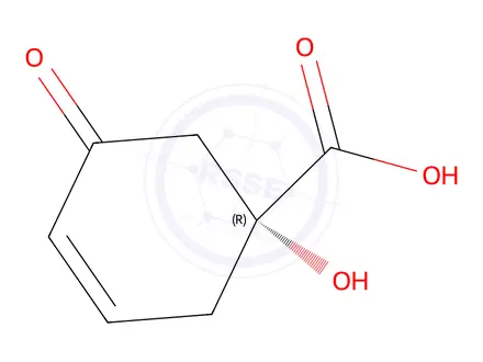 Chemical structure of 3-Cyclohexene-1-carboxylicacid,1-hydroxy-5-oxo-,(1R)-(9CI)