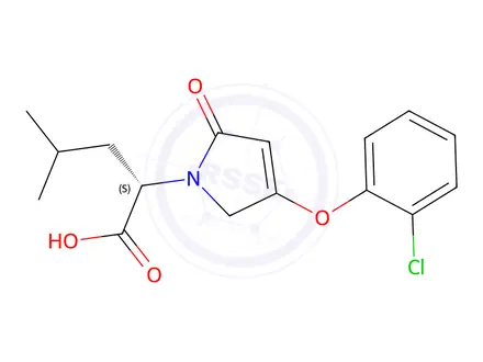 Chemical structure of 2-(4-(2-Chlorophenoxy)-2-oxo-2,5-dihydro-1H-pyrrol-1-yl)-4-methylpentanoic Acid