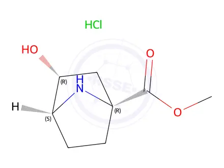 Chemical structure of Methyl (1R,3R,4R)-3-hydroxy-7-azabicyclo[2.2.1]Heptane-1-carboxylate hydrochloride