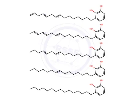 Chemical structure of Urushiol