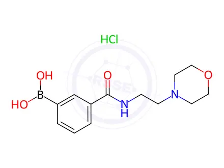 Chemical structure of 3-(2-Morpholinoethylcarbamoyl)phenylboronic acid, HCl