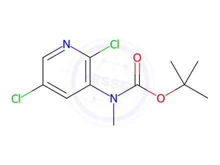 Chemical structure of Carbamic acid, N-(2,5-dichloro-3-pyridinyl)-N-methyl-, 1,1-dimethylethyl ester