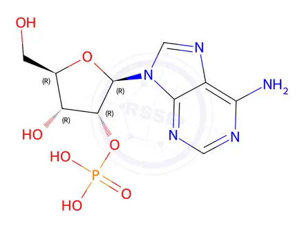 Chemical structure of Adenosine 2’(3’)-monophosphate(Mixture of isomers)