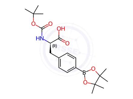 Chemical structure of (R)-2-((tert-Butoxycarbonyl)amino)-3-(4-(4,4,5,5-tetramethyl-1,3,2-dioxaborolan-2-yl)phenyl)propanoic acid