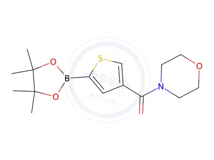 Chemical structure of Morpholino(5-(4,4,5,5-tetramethyl-1,3,2-dioxaborolan-2-yl)thiophen-3-yl)methanone