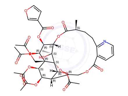 Chemical structure of Wilforgine