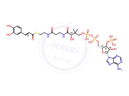 Chemical structure of Coenzyme A Impurity 40 (trans-Caffeoyl CoA)