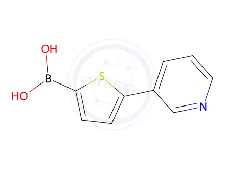 Chemical structure of (5-(Pyridin-3-yl)thiophen-2-yl)boronic acid