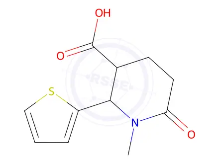 Chemical structure of 1-methyl-6-oxo-2-(thiophen-2-yl)piperidine-3-carboxylic acid