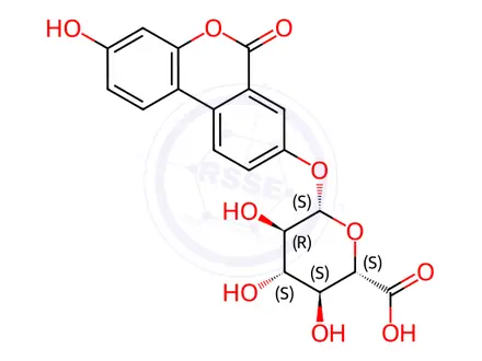 Chemical structure of Urolithin A glucuronide