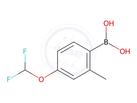 Chemical structure of (4-(Difluoromethoxy)-2-methylphenyl)boronic acid