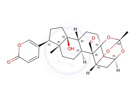 Chemical structure of Bersaldegenin 1,3,5-orthoacetate