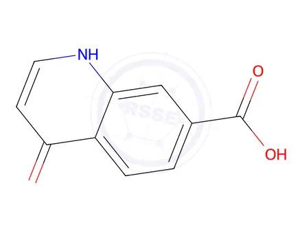 Chemical structure of 4-Oxo-1,4-dihydroquinoline-7-carboxylic acid