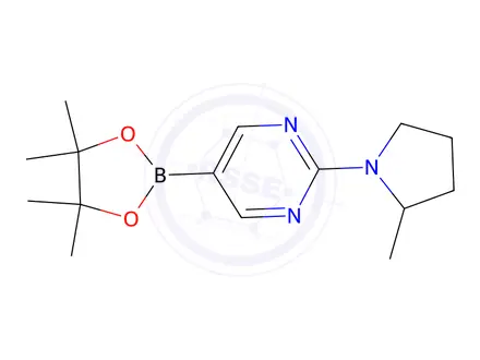 Chemical structure of 2-(2-Methylpyrrolidin-1-yl)-5-(4,4,5,5-tetramethyl-1,3,2-dioxaborolan-2-yl)pyrimidine