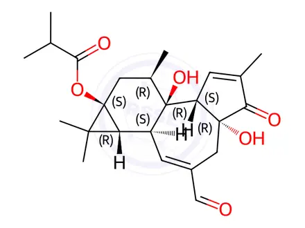 Chemical structure of 20-Oxo-12,20-Dideoxyphorbol 13-Isobutyrate