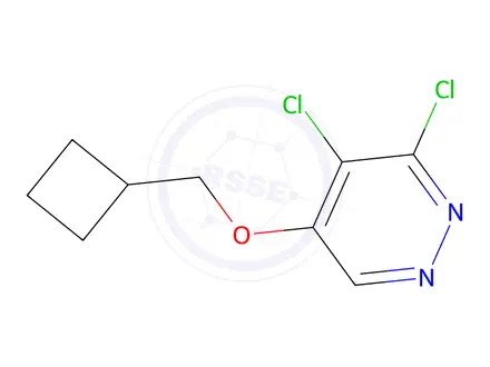 Chemical structure of 3,4-Dichloro-5-(cyclobutylmethoxy)pyridazine