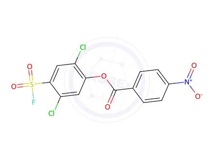 Chemical structure of 2,5-Dichloro-4-(fluorosulfonyl)phenyl 4-nitrobenzoate