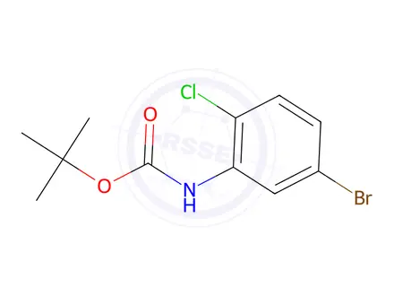 Chemical structure of Tert-butyl (5-bromo-2-chlorophenyl)carbamate