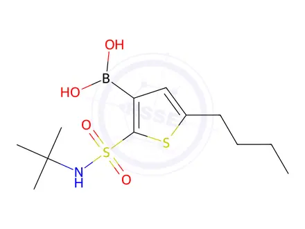 Chemical structure of (5-Butyl-2-(N-(tert-butyl)sulfamoyl)thiophen-3-yl)boronic acid