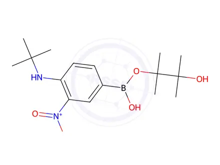 Chemical structure of n-(Tert-butyl)-2-nitro-4-(4,4,5,5-tetramethyl-1,3,2-dioxaborolan-2-yl)aniline