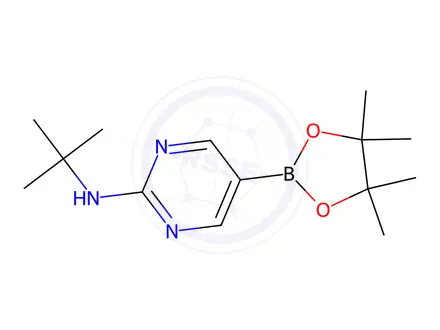 Chemical structure of n-(Tert-butyl)-5-(4,4,5,5-tetramethyl-1,3,2-dioxaborolan-2-yl)pyrimidin-2-amine