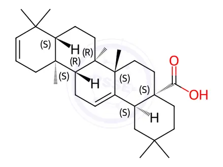 Chemical structure of Oleana-2,12-dien-28-oic acid