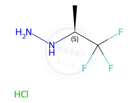 Chemical structure of (S)-(1,1,1-trifluoropropan-2-yl)hydrazine hydrochloride