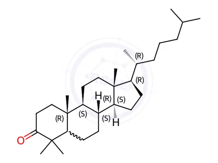 Chemical structure of (5α)-4,4-Dimethylcholestan-3-one