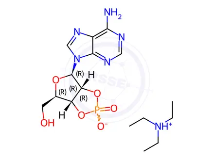 Chemical structure of Adenosine 2’,3’-Cyclic Phosphate Triethylammonium Salt