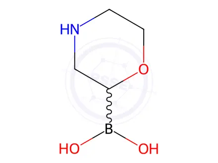 Chemical structure of Morpholine-2-boronic acid