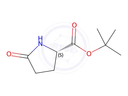 Chemical structure of Tert-Butyl L-Pyroglutamate