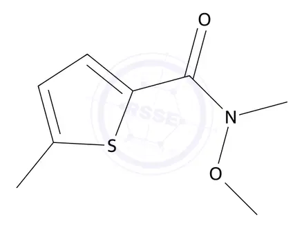 Chemical structure of n-Methoxy-n,5-dimethylthiophene-2-carboxamide