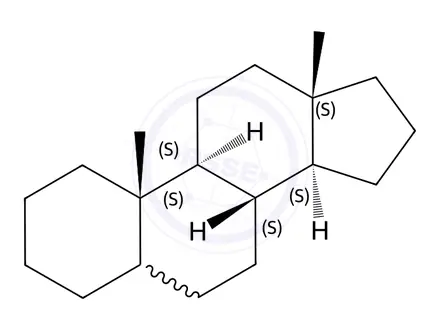 Chemical structure of Androstane