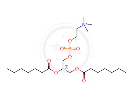 Chemical structure of 1,2-heptanoylphosphatidylcholine