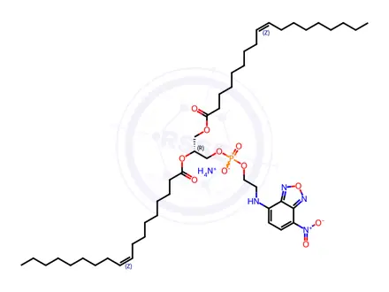 Chemical structure of 18:1 NBD PE