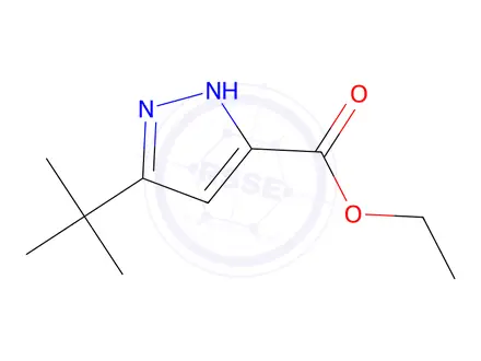 Chemical structure of Ethyl 3-(tert-butyl)-1H-pyrazole-5-carboxylate