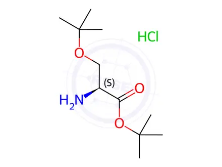 Chemical structure of H-Ser(tBu)-OtBu HCl