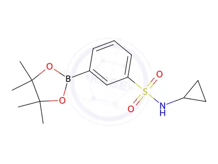 Chemical structure of N-cyclopropyl-3-(4,4,5,5-tetramethyl-1,3,2-dioxaborolan-2-yl)benzenesulfonamide