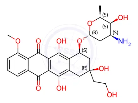 Chemical structure of 13-Deoxydoxorubicin