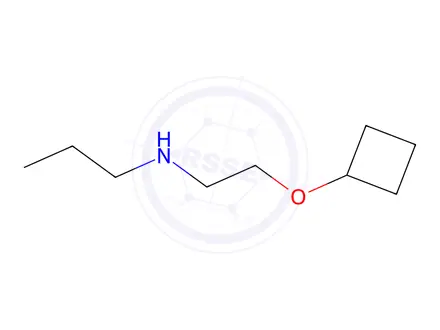 Chemical structure of n-(2-Cyclobutoxyethyl)propan-1-amine