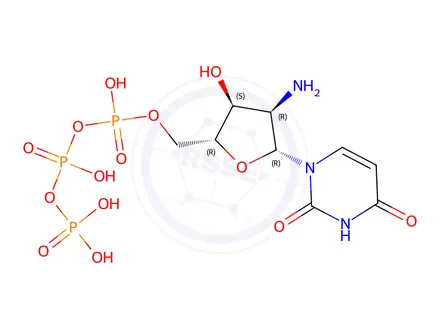 Chemical structure of 2'-Amino-2'-deoxyuridine-5'-triphosphate