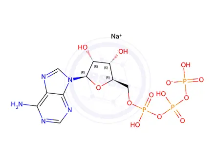 Chemical structure of Adenosine 5′-(tetrahydrogen triphosphate), sodium salt